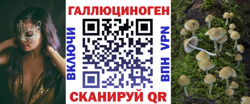 Галлюциногенные грибы Psilocybe  Олёкминск 