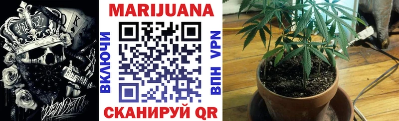 shop Telegram Олёкминск Конопля сатива